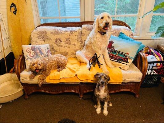 Concierge Emerald Isle