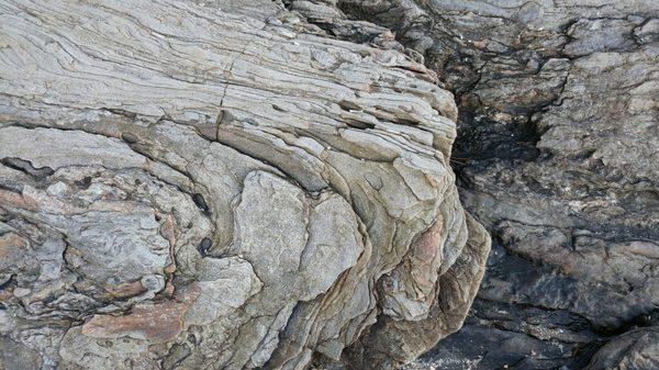 Littlejohn Island Preserve