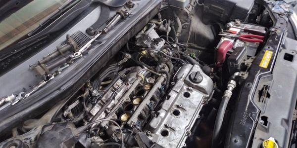 Oil leaks, tune up, hoses,