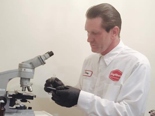 BugAbate Exterminators