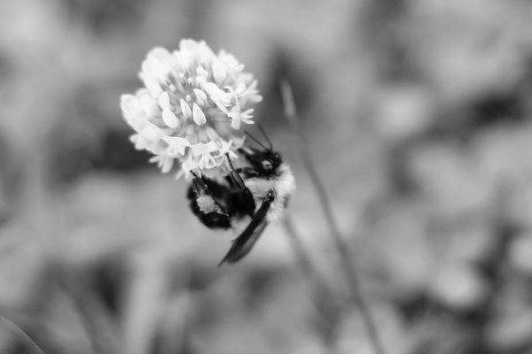 Taylor Marie Photography