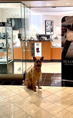 Duke waiting to be called