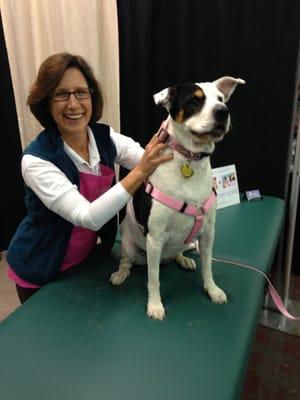 Animal Ally of Arizona