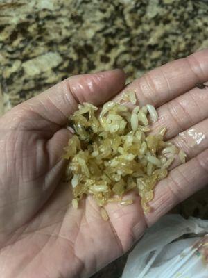 Bluebonnet Cooling & Heating