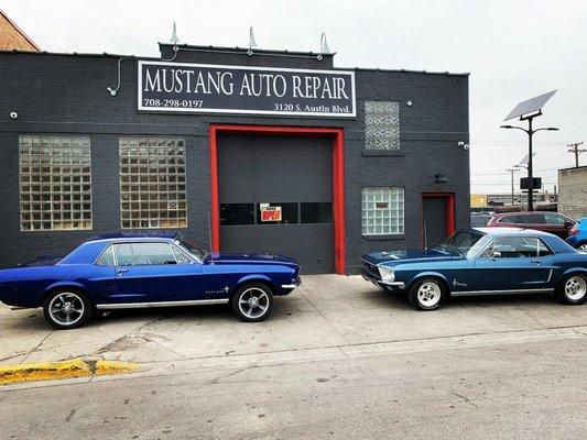 Mustang Auto Repair