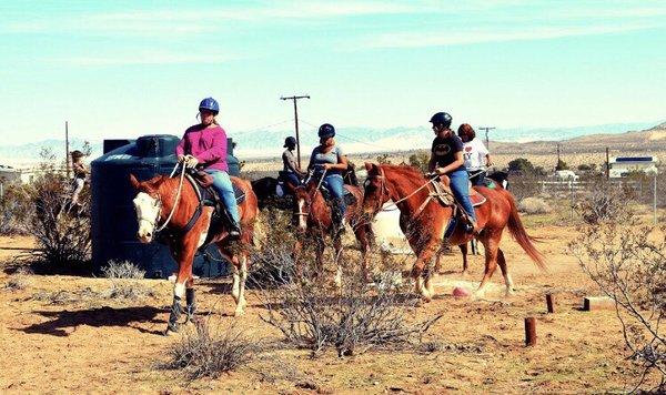 White Rock Horse Rescue