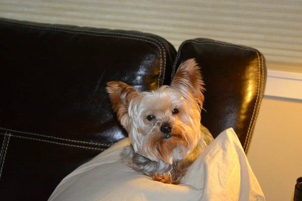 Mason died on 5/3/2016 as a result of this DANGEROUS product!