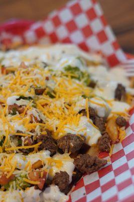 Carne Asada Fries