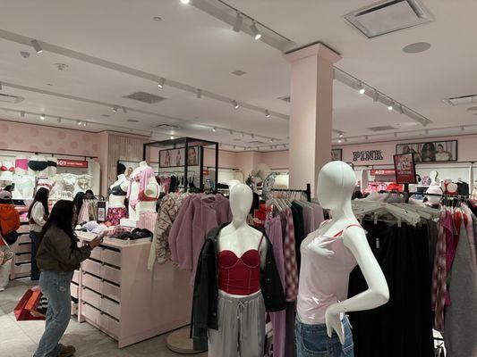 Victoria's Secret & PINK