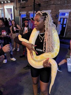 Pet the snake??