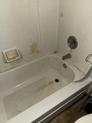 Three Point Cleaning