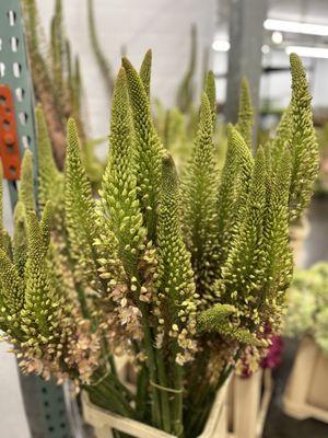 Mayesh Wholesale Florist