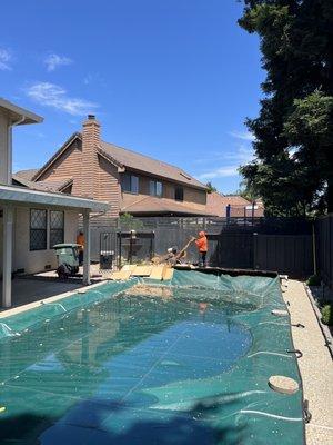 Everything Green Nice And Clean