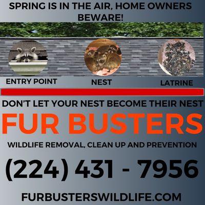 Fur Busters