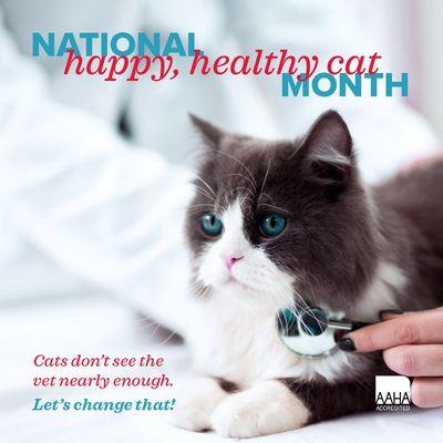 Westarbor Animal Hospital