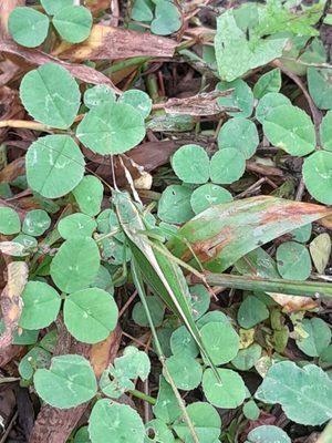 Small Begginings Nursery School