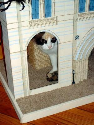 Chateau de Chat