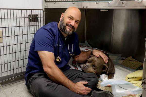 Brewerton Hospital for Animals