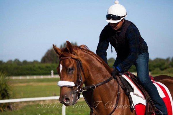 Michael Wilson Racing Stable