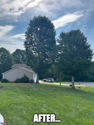 Godfrey Tree Service