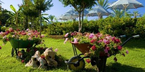 Thomas A Rak Landscaping