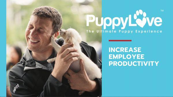 Puppy Love Southern California