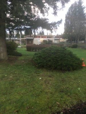 Street View - Located at Lake Hills Baptist Church