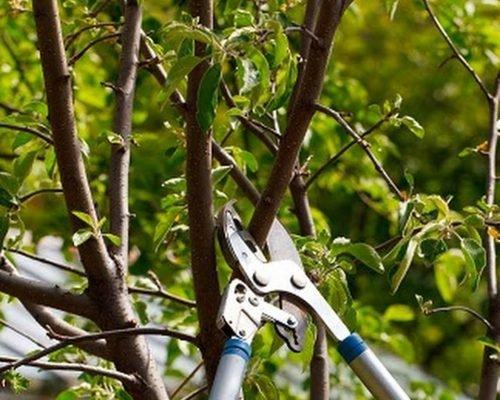 Extreme Cuts Property Maintenance