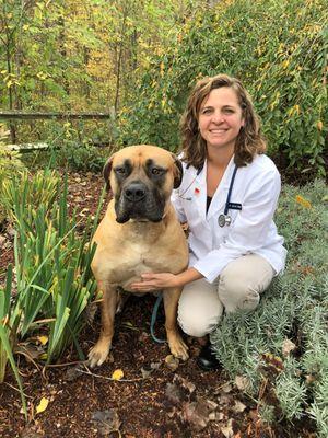 Uxbridge Animal Hospital