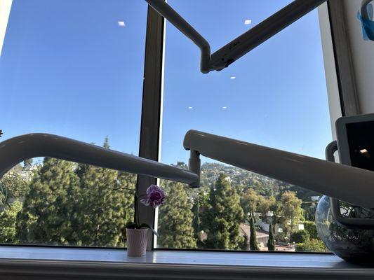 Dr Omid Farahmand DMD