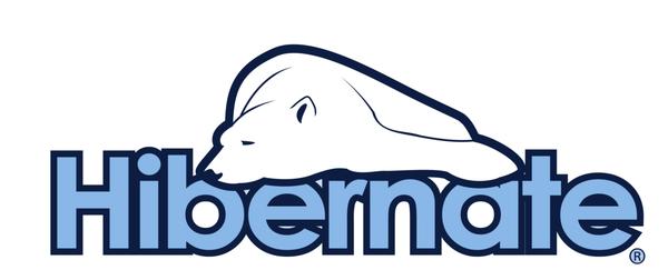 Hibernate Logo - Custom Teezs