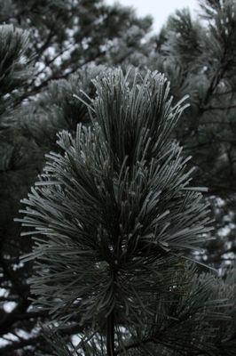 Bowker Photography & Design