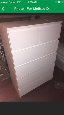 Illegal Lepards Errand Cubs