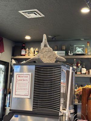 The Pheasant Lounge