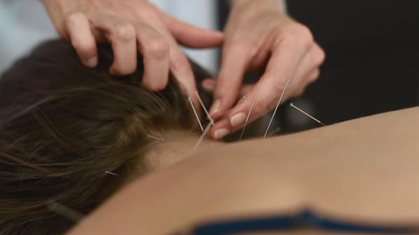 Laura A Powers, LAc, DiplAc