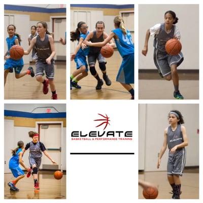 Elevate Basketball & Performance Training