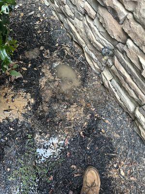 The Neighborhood Plumber, LLC