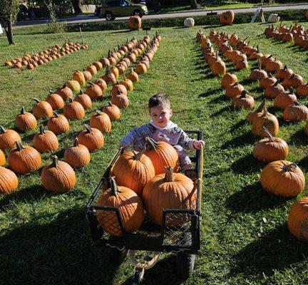 Grandson with our picks!