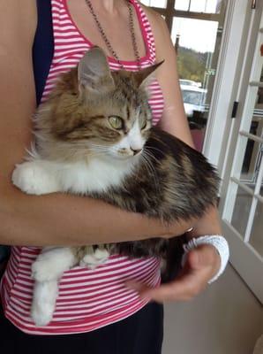 Got to love these little fury friends.