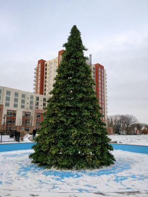 Harbor Point Commons Park