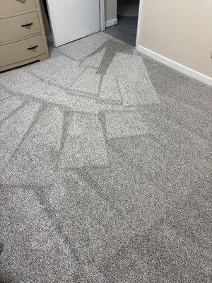 Steam Pro Cleaning & Restoration