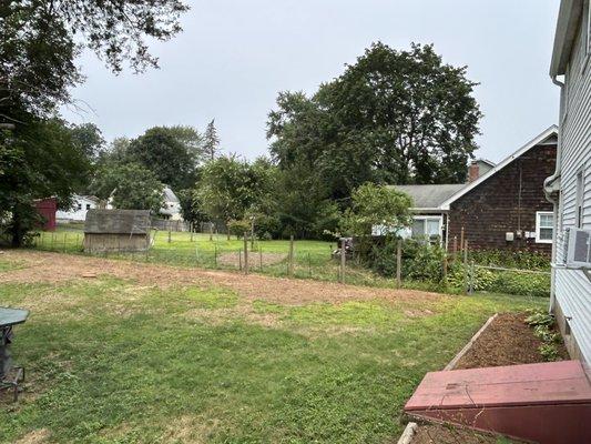 Wayne's Tree Removal