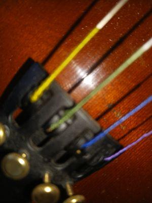 Violinist Fiddle and Classical Guitarist at GrowOKC.com