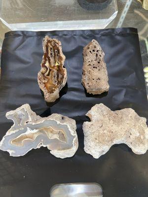 Fossilized Coral Geodes