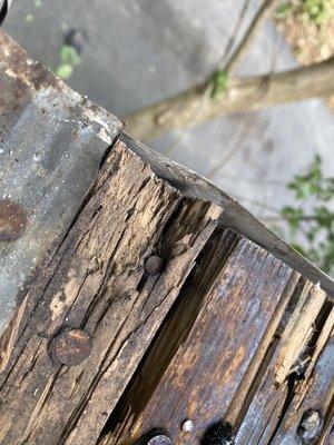 Joes Tree Service & Landscaping