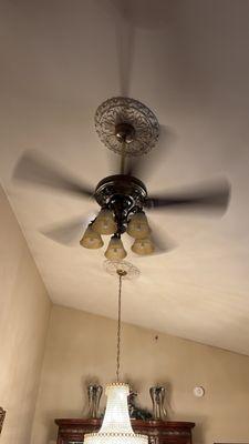 Mann Electric company