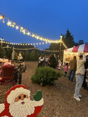 Alhambra Christmas Tree Farm