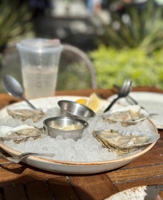 Rappahannock Oyster Bar