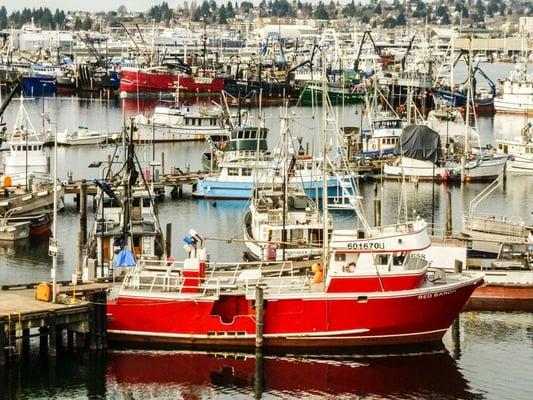 Sound Specialized Services