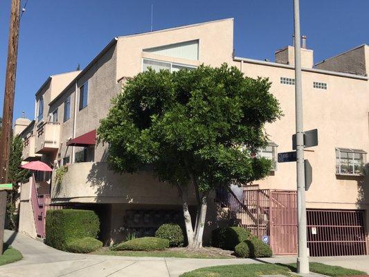 New listing in Valley Village